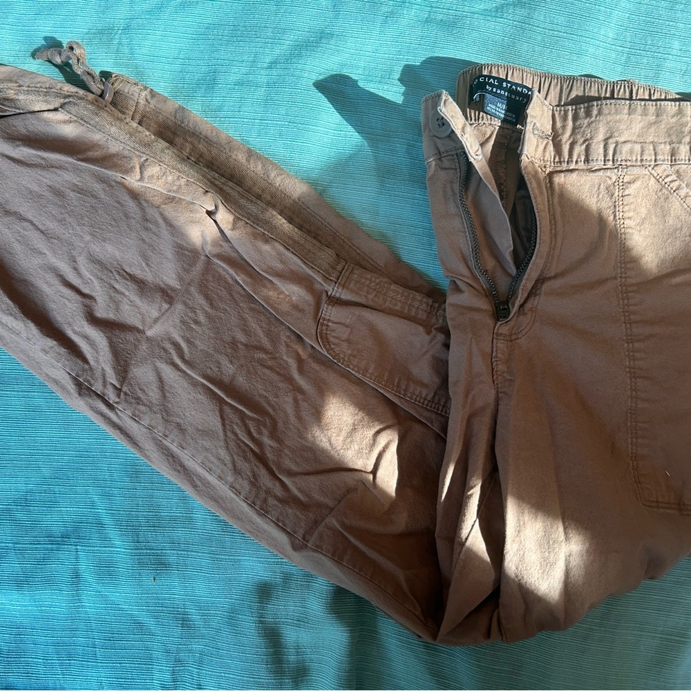 Burnt orange Social Standard cargo pants